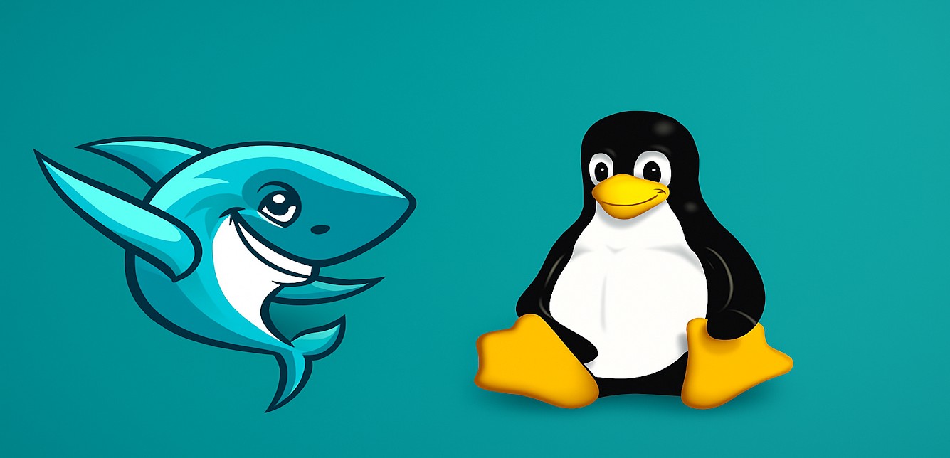 Choosing Your First Linux Distro: A Beginner’s Guide