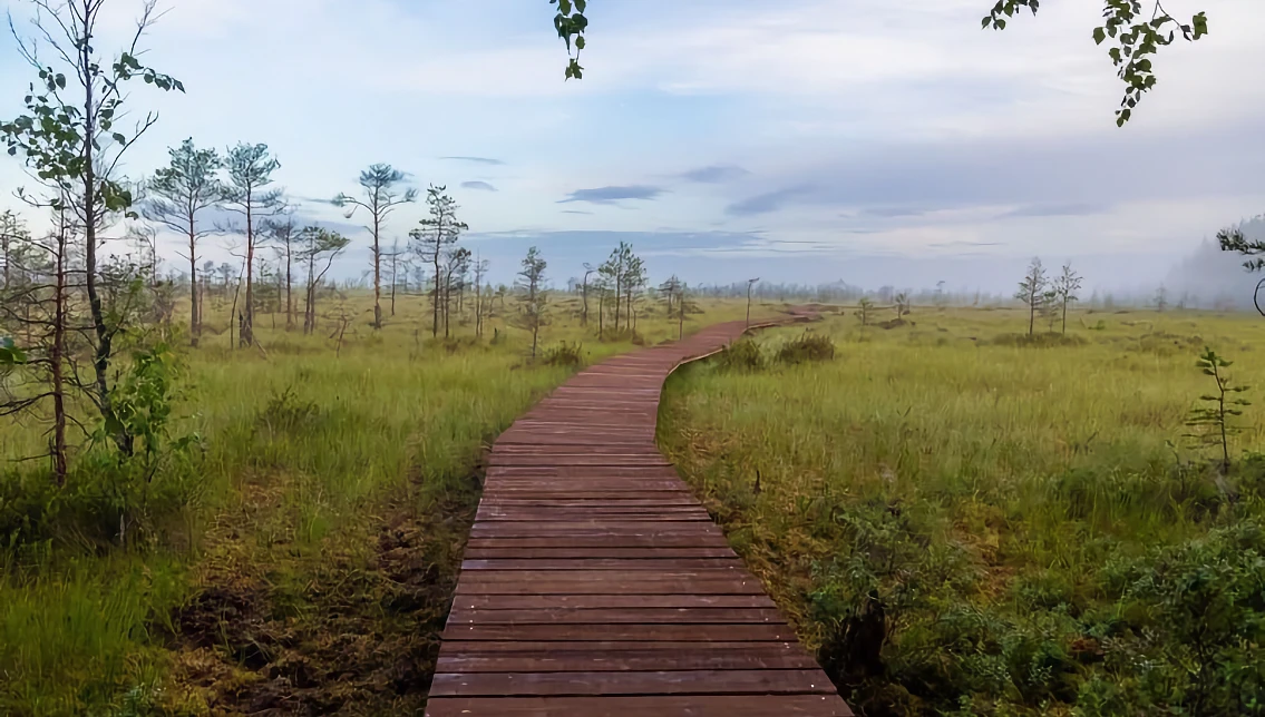 Сестрорецкая тропа