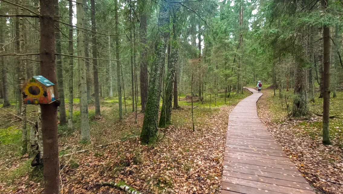 Комаровский берег