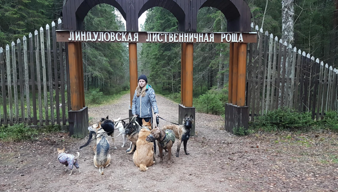 Линдуловская роща